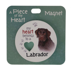 Labrador choc magnet