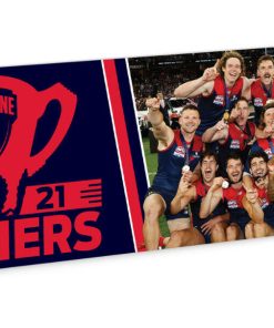 Bumper Sticker Melbourne Premiers 21 Team Photo