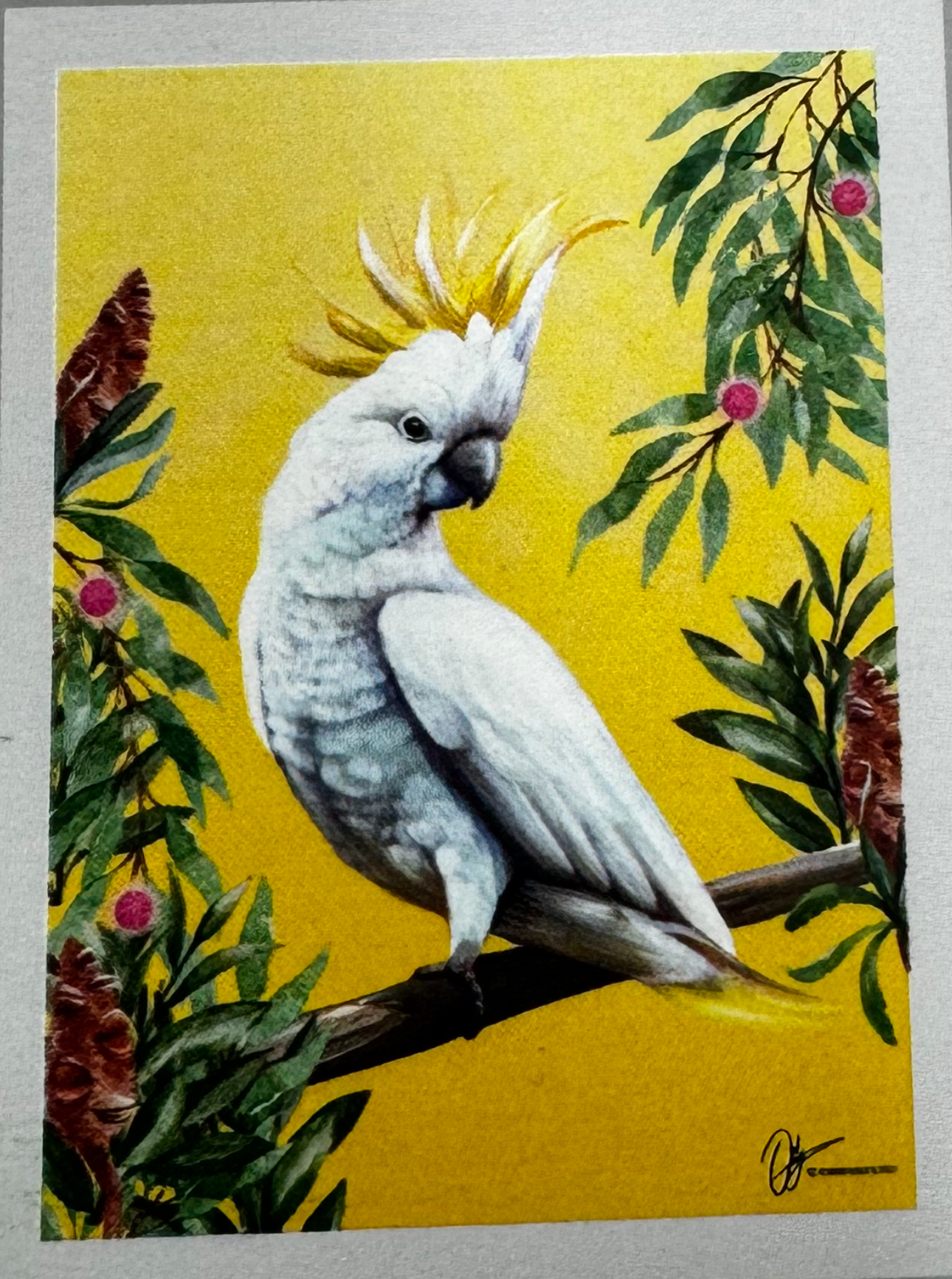 Birds of Australia Tea Towel -Australian Birds