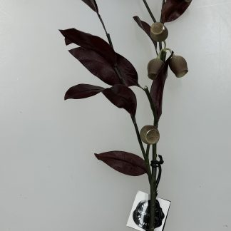 Burgandy Eucalyptus Gum Artificial Stem 94cm