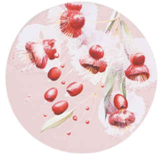 Native Blooms Pink Floral Ceramic Coaster