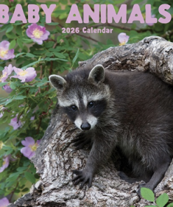 2026 Calendar Baby Animals