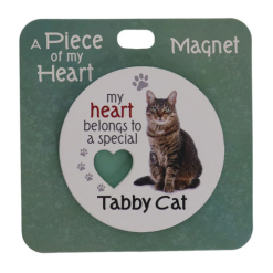 Cat tabby magnet