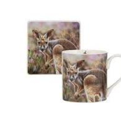 Babies of the Bush Kangaroo