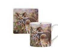 Babies of the Bush Kangaroo