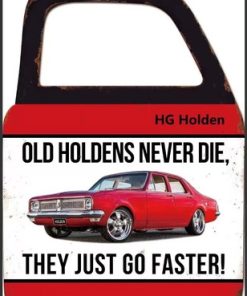 HG Holden Door With Mirror