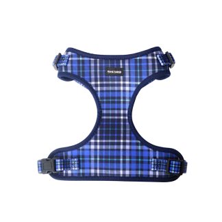 Frank Barker Blue Harness