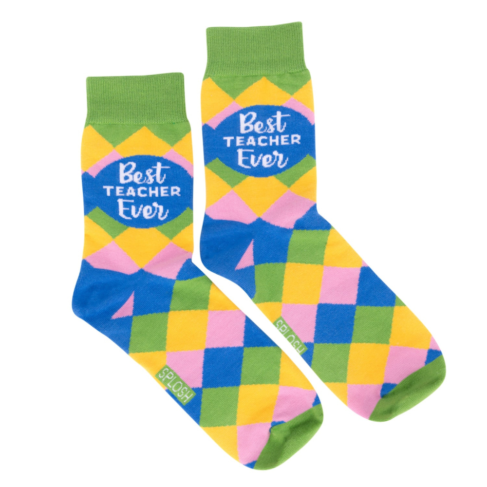 Teacher Best Teacher Socks