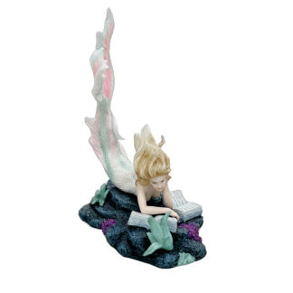 Mermaid Lost Books 19cm