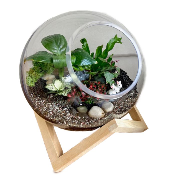 Dali Glass Ball Atrium with Wooden Cubic Stand Large