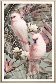 Pink Galah Framed Canvas