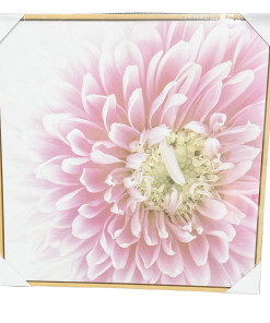 Bloom Art Canvas 50cm x 50cm