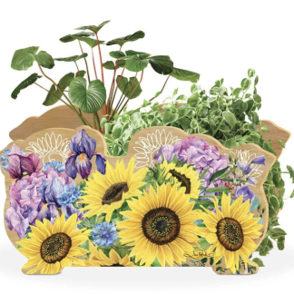 Chrysanthemum Planter Box