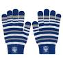 Supporter Gloves