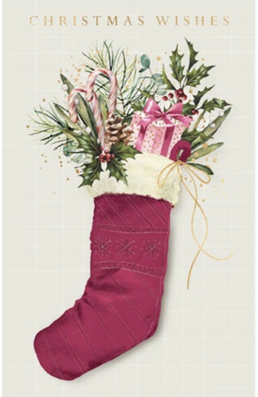 10pk Salvo Stocking Card