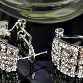 Evening Earrings Silver