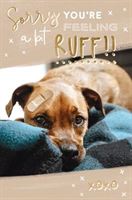 Sorry You're Feeling A Bit Ruff!! Card