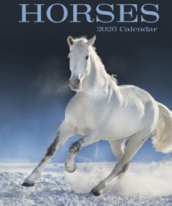 2026 Calendar Horses