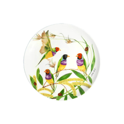 Eloise Coupe Plate Gouldian Finch