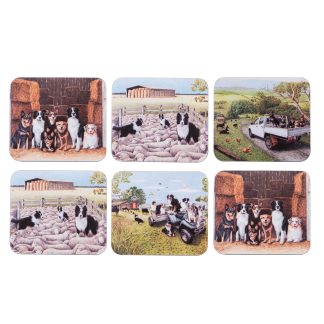 Working Dogs 6pk Coaster