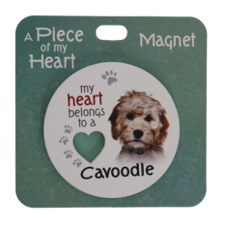 Cavoodle magnet