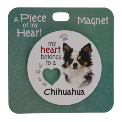 Chihuahua long magnet