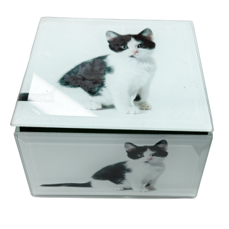 Kitten Keep Sake Box