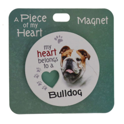 Bulldog magnet