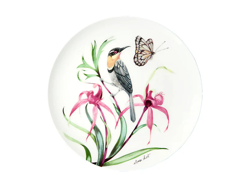 Eloise Coupe Plate Spinebill Honeyeater