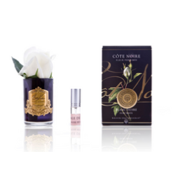 Touch Rose Bud - Black - White