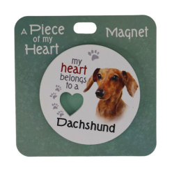 Dachshund magnet