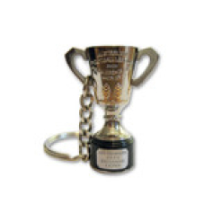 Brisbane Lions 2025 Premiers 3D Trophy Keyring