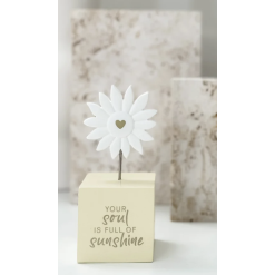 House of Sentiments - Sunshine