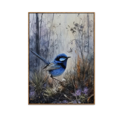 Fairy Wren Canvas Brushed Print