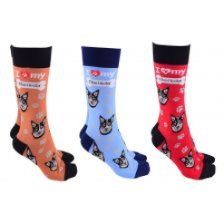 Dog Society Blue Heeler