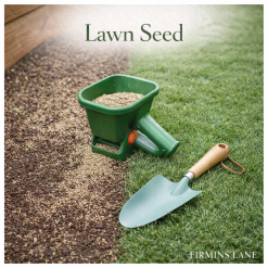 Lawn Seed