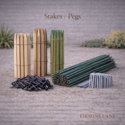 Stakes/Pegs