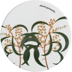 Botanics Coaster Wattle