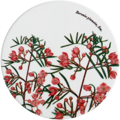 Botanics Coaster Boronia