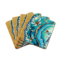 Dragonfly Coaster Set