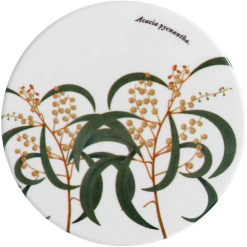 Botanics Coaster Wattle