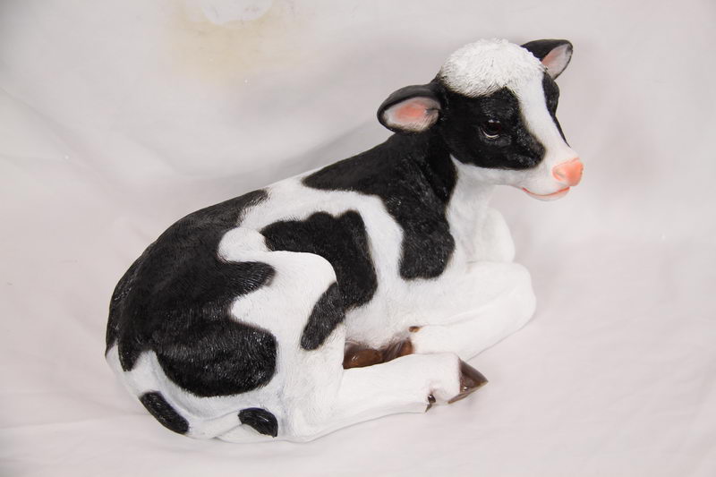 Sitting Black and White Cow