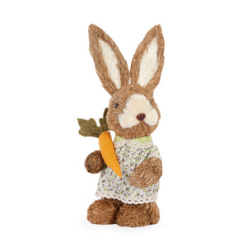 Miss Moss With Carrot