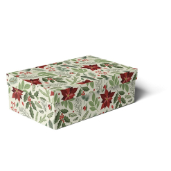 Gift Box- 390x149x300