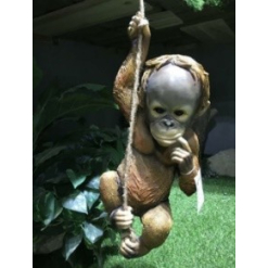 Hanging Orangutan A