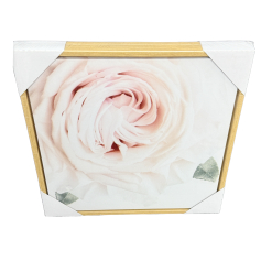 Rose Bloom Art Canvas 50cm