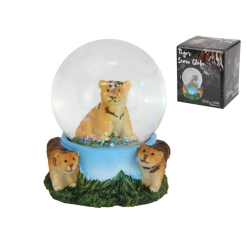 65cm Tiger Water Ball (Gift Box)