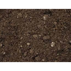 Mushroom Compost