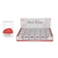 Everlasting Red Rose Box