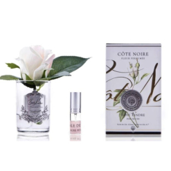 Touch Rose Bud - Clear - Pink Blush